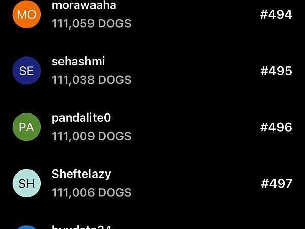 两天订阅人数破250万：DOGS 空投却可能不值一顿猪脚饭缩略图