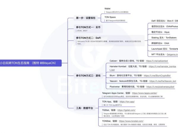 必读攻略：玩转TON生态，抓住早期红利缩略图