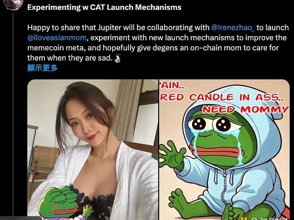 Jupiter 合作 Irene Zhao 推迷因币 侦探曝诈骗黑历史缩略图